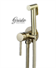 Гигиенический душ встраиваемый Gristo Gold GGM-3041 золото матовое 325978 - фото 4626